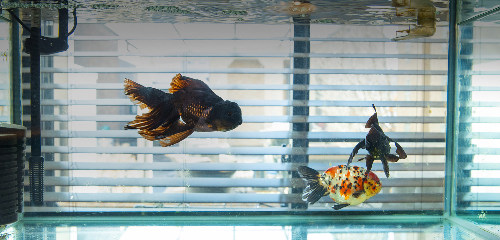 稲坂将成法律事務所